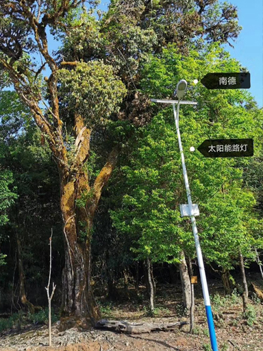 河南信陽(yáng)市羊山新區(qū)南京路街道:安裝太陽(yáng)能道路燈照亮百姓回家路
