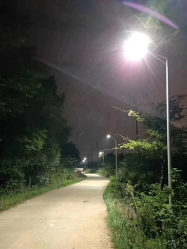 四川成都愛心老板捐贈(zèng)30W太陽能路燈“點(diǎn)亮鄉(xiāng)村、美好家園”