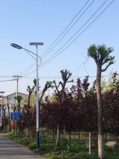 新路燈照亮民心路